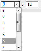 pagina_selecteren.png